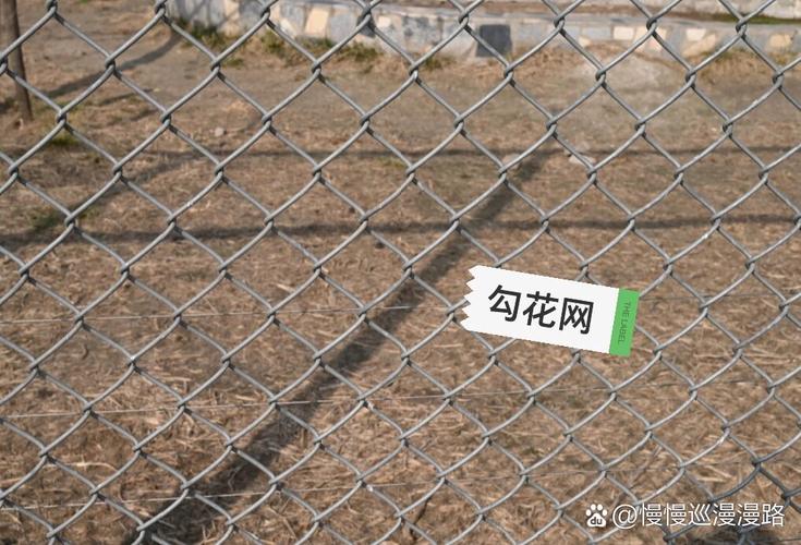 镀锌勾花网 从养殖到护栏的全能 \
