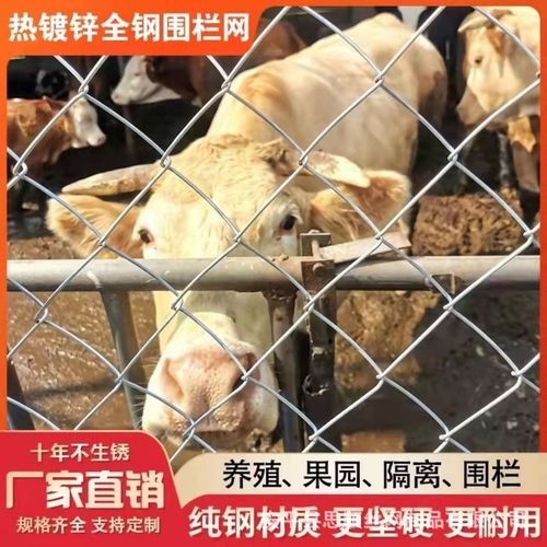 镀锌铁丝勾花网 养殖围栏的理想选择，守护果园与牧场的全能防护网