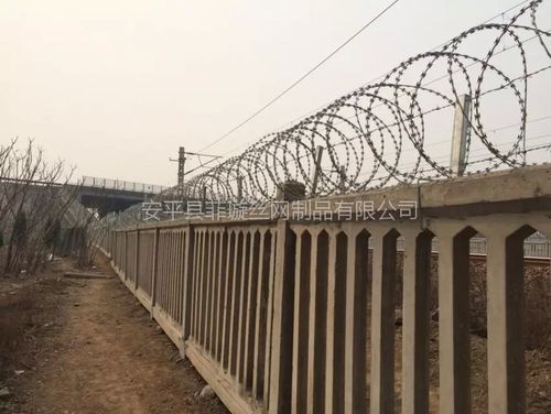安平菲璇丝网制品厂 蛇腹型刀片刺网为工厂围墙筑牢安全防线
